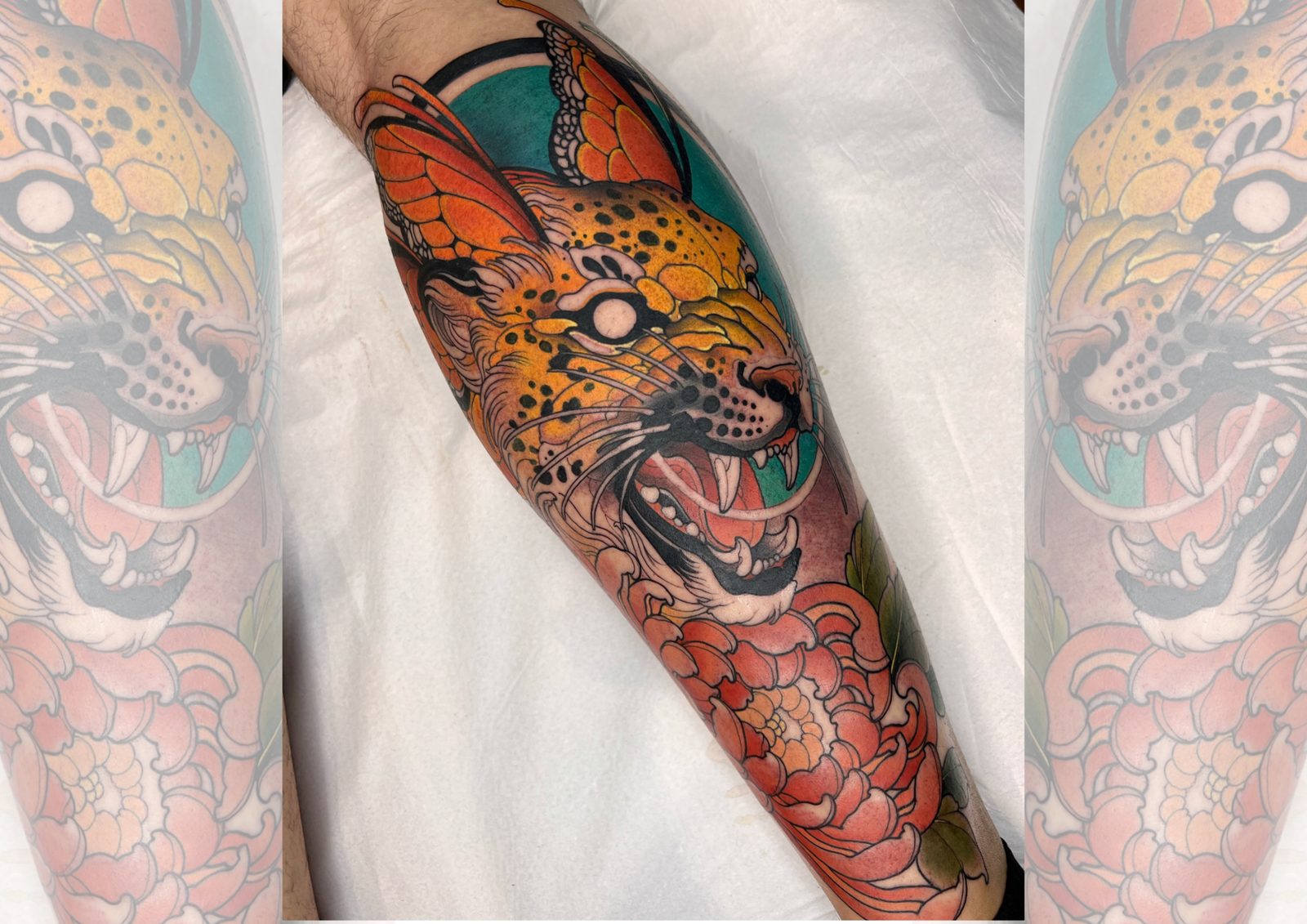 Felino e peônia, tatuagem finalizada em cor