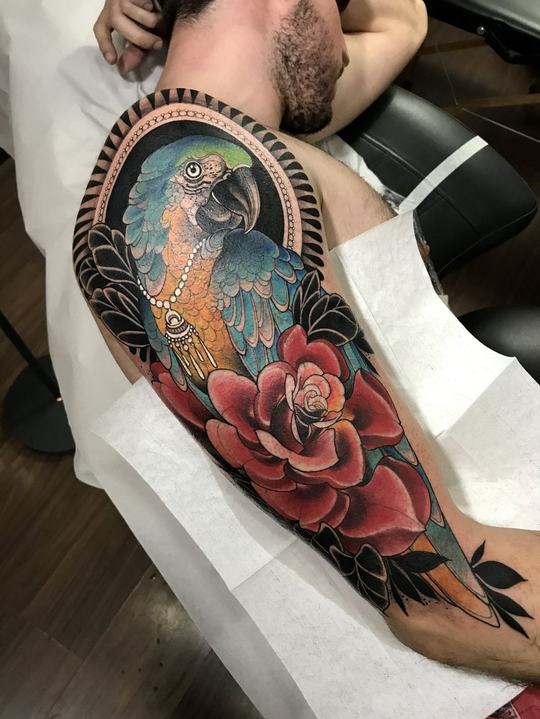 Papagaio e rosa